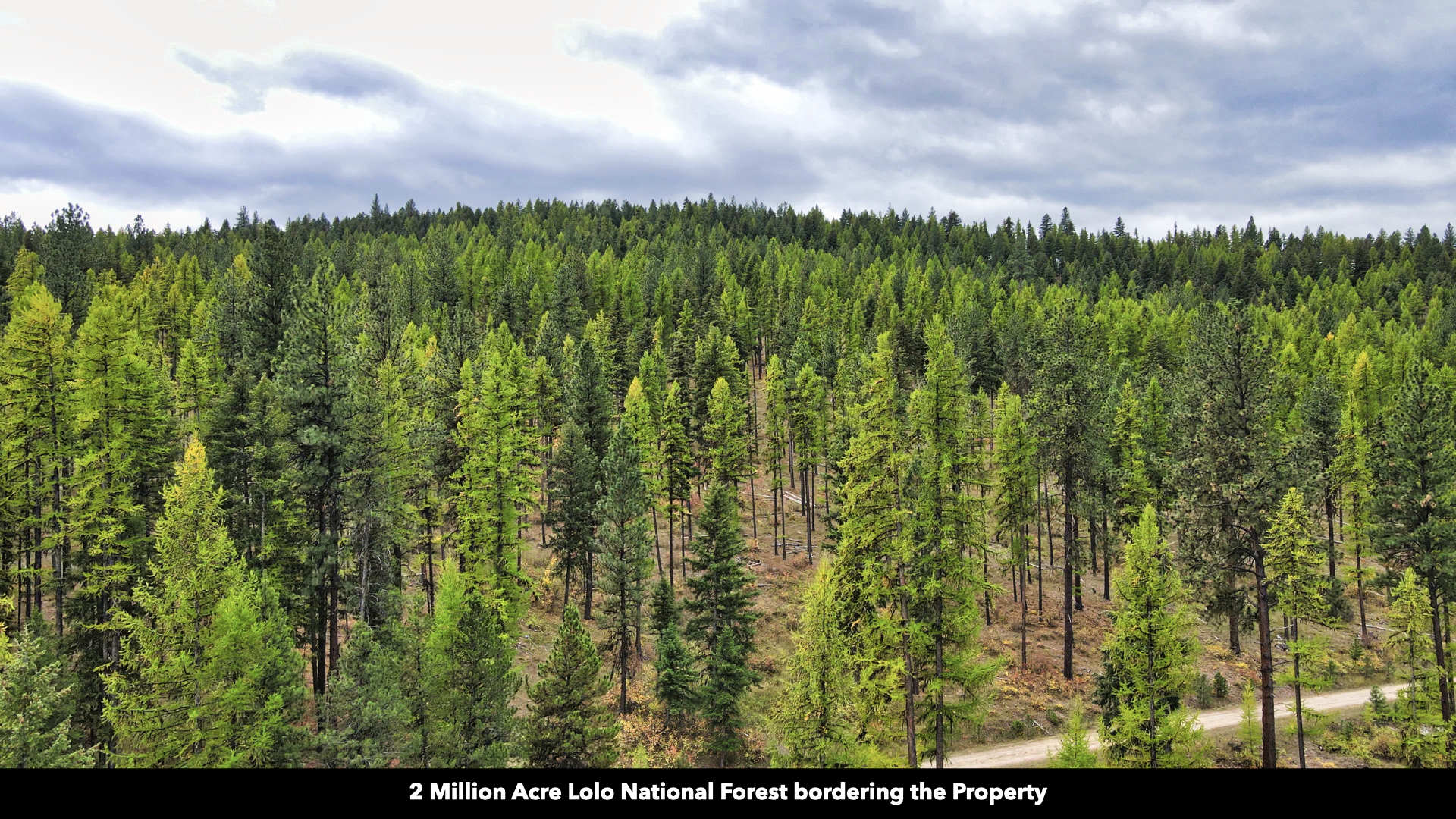 Riverfront Acreage For Sale in St. Regis, Montana