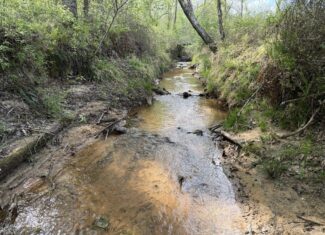 COUNTRY ESTATE FOR SALE IN TN, 61.5 AC, DEER & TURKEY HUNTING, CREEK, FIELDS, BARN
