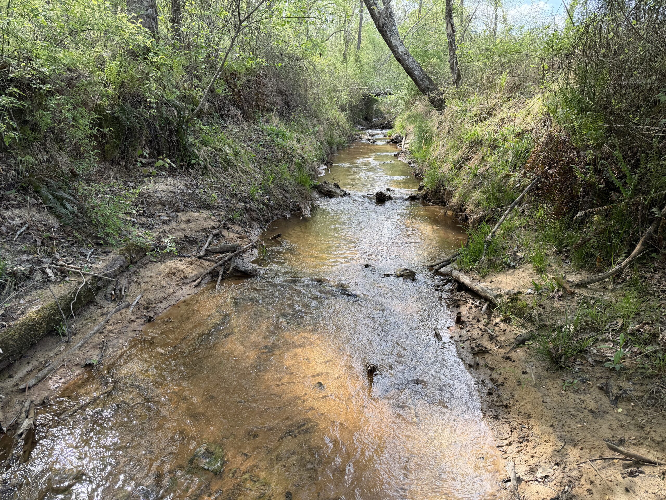 COUNTRY ESTATE FOR SALE IN TN, 61.5 AC, DEER & TURKEY HUNTING, CREEK, FIELDS, BARN