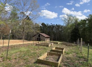 COUNTRY ESTATE FOR SALE IN TN, 61.5 AC, DEER & TURKEY HUNTING, CREEK, FIELDS, BARN