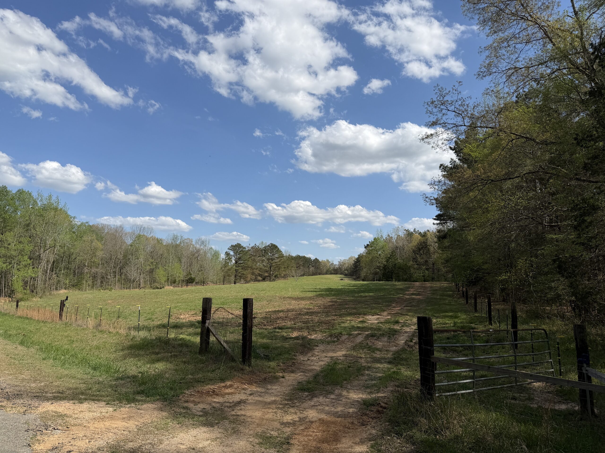 COUNTRY ESTATE FOR SALE IN TN, 61.5 AC, DEER & TURKEY HUNTING, CREEK, FIELDS, BARN