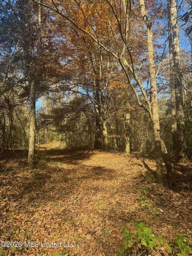 South Mississippi Hunting Land for Sale in Walthall County