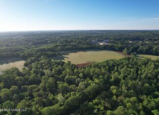 266± Acres Hinds/Copiah Line with Creek and Income