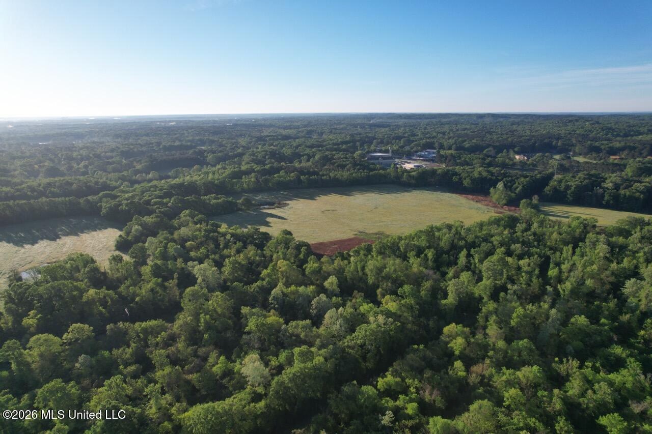 266± Acres Hinds/Copiah Line with Creek and Income