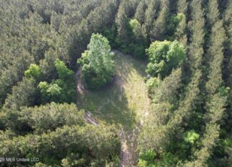 46 Acres in St. Helena Parish, LA Hunting Property for Sale