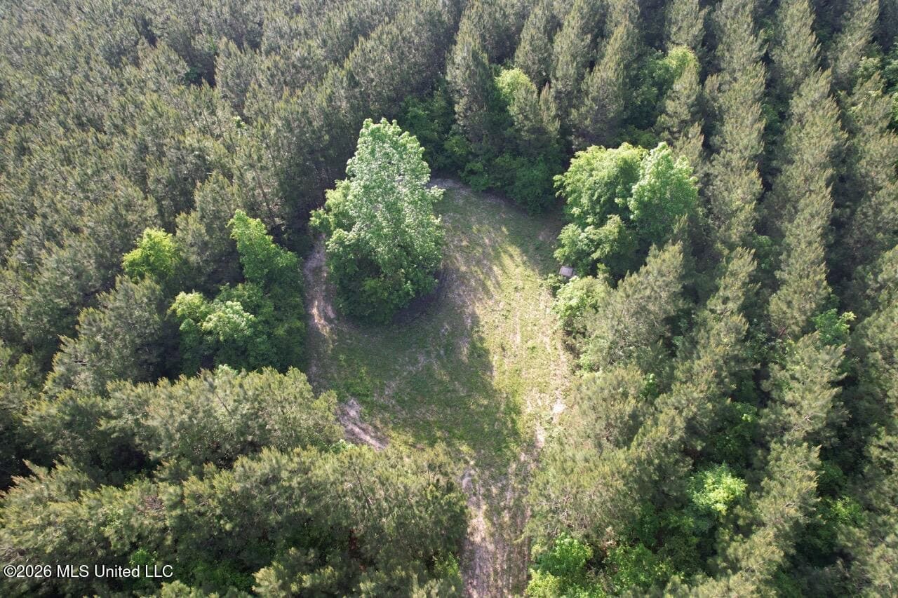 46 Acres in St. Helena Parish, LA Hunting Property for Sale