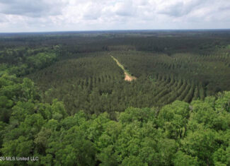 47 Acres in St. Helena Parish, LA with Black Creek