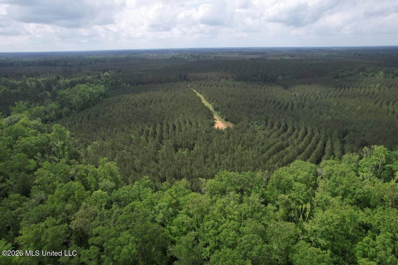 47 Acres in St. Helena Parish, LA with Black Creek