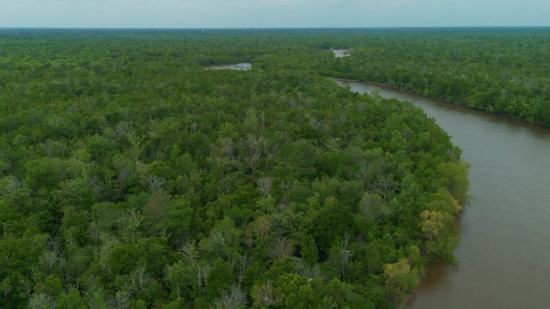 385 Acres Pearl River Frontage Louisiana