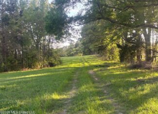 77 Acres in Edwards, MS Hinds County Big Black River Region