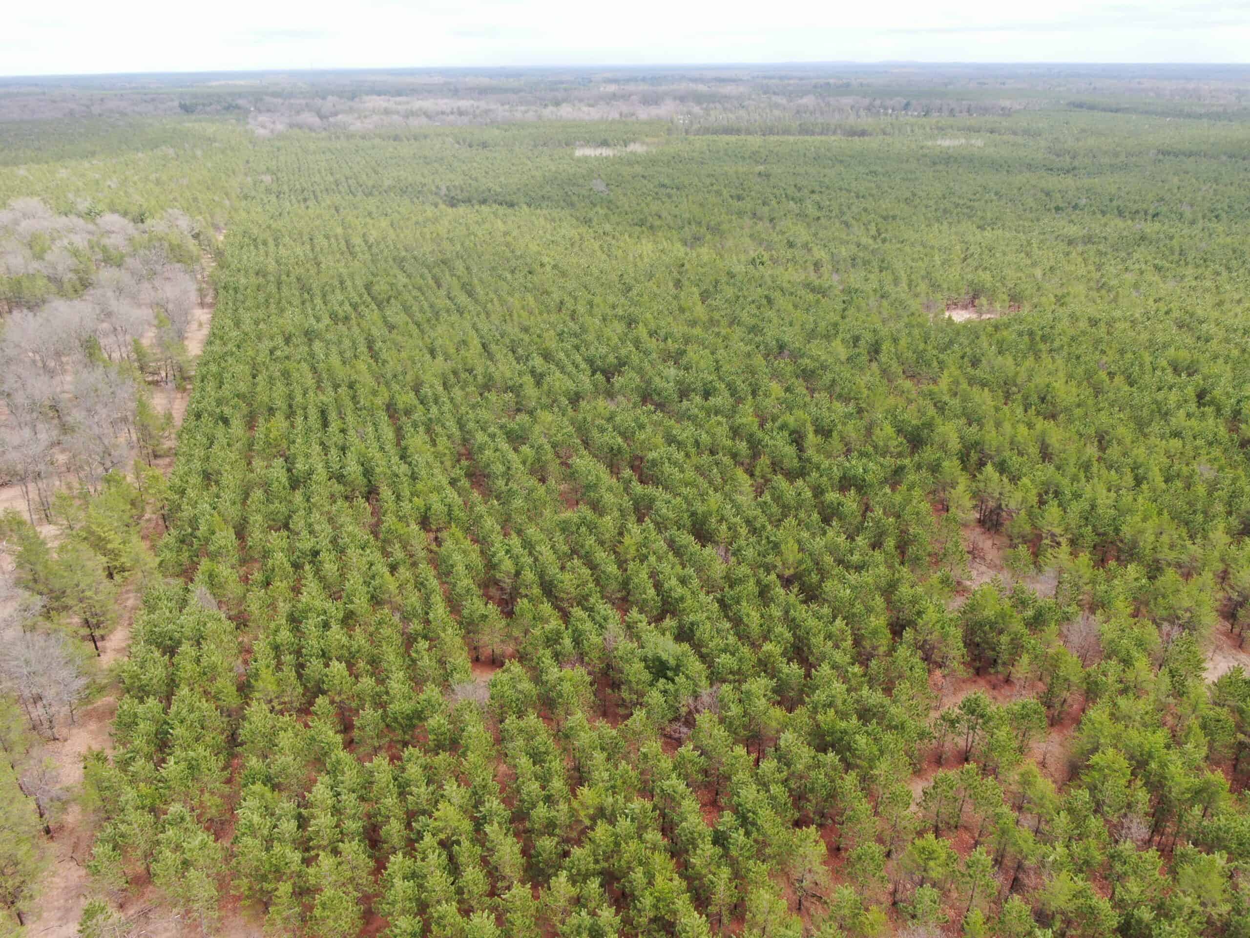 80± acre timber tract in the heart of northern Adams County