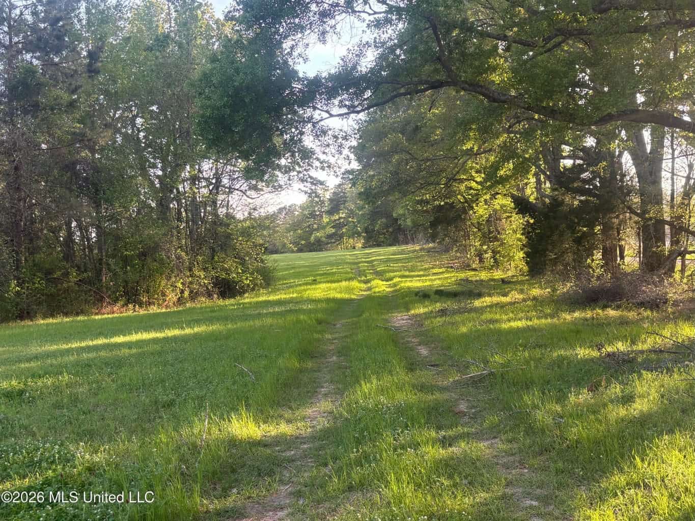 77 Acres in Edwards, MS Hinds County Big Black River Region