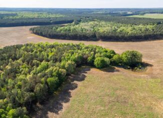 455 Acres Hunting & Income Land in Choctaw County MS