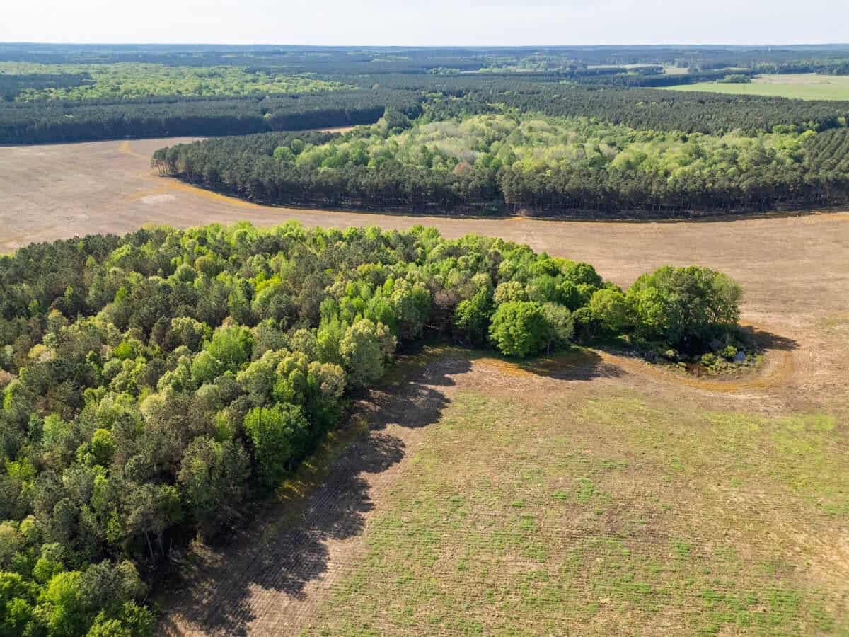 455 Acres Hunting & Income Land in Choctaw County MS