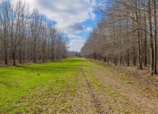 Tensas Parish Duck and Deer Hunting Property