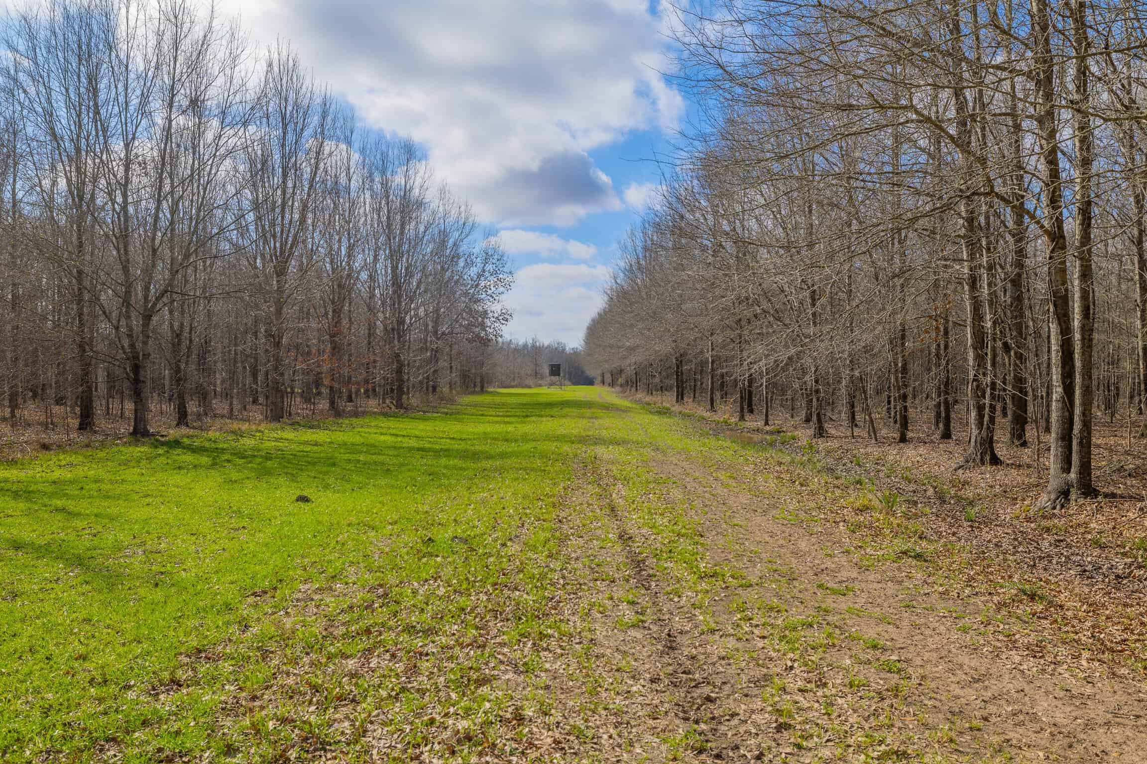 Tensas Parish Duck and Deer Hunting Property