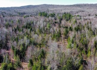 Western Maine Land for Sale – Near Sugarloaf & Outdoor Recreation