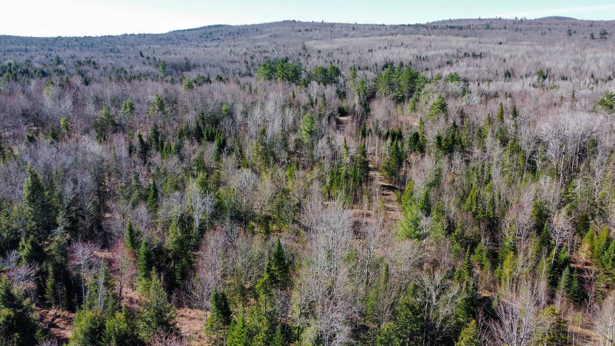 Western Maine Land for Sale – Near Sugarloaf & Outdoor Recreation