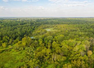 863-Acre Hunting Ranch on the Sabine River near Big Sandy TX