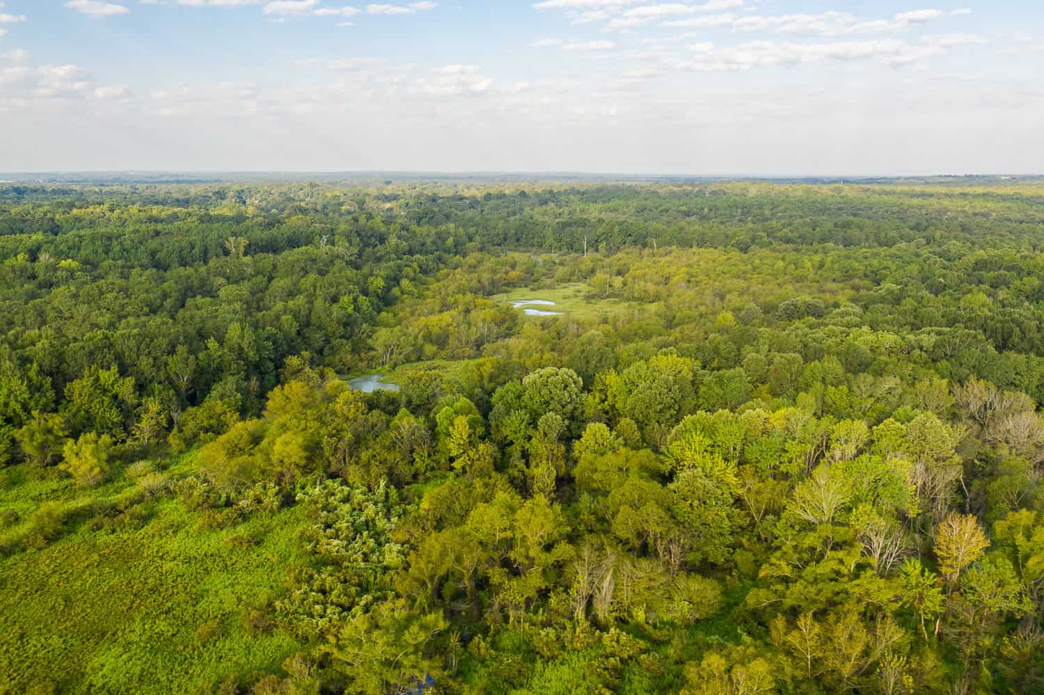 863-Acre Hunting Ranch on the Sabine River near Big Sandy TX