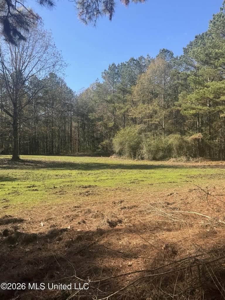 South Mississippi Hunting Land for Sale in Walthall County