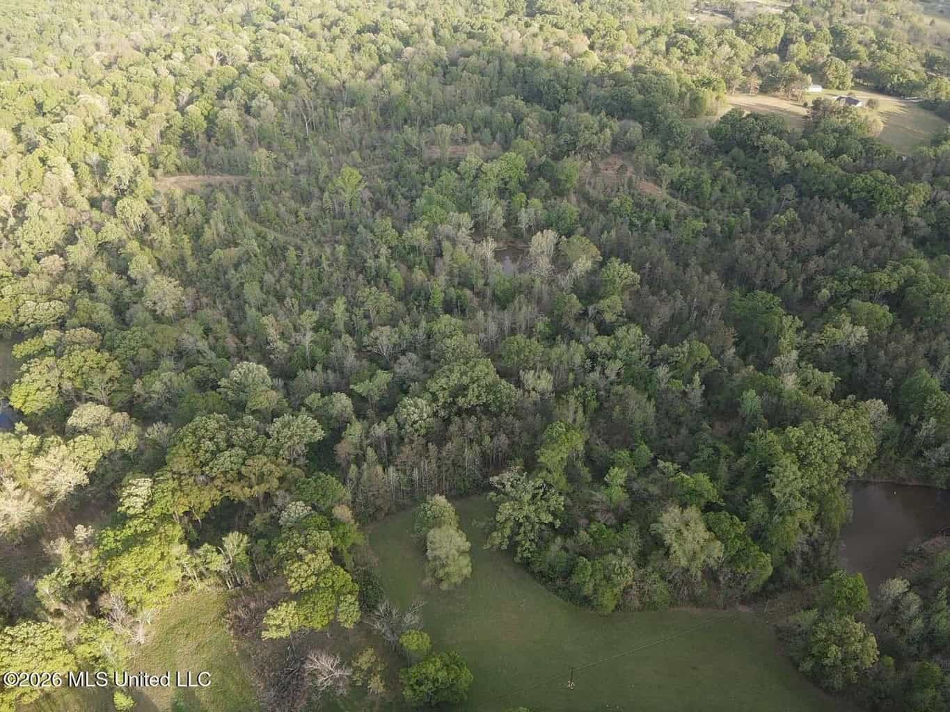 77 Acres in Edwards, MS Hinds County Big Black River Region