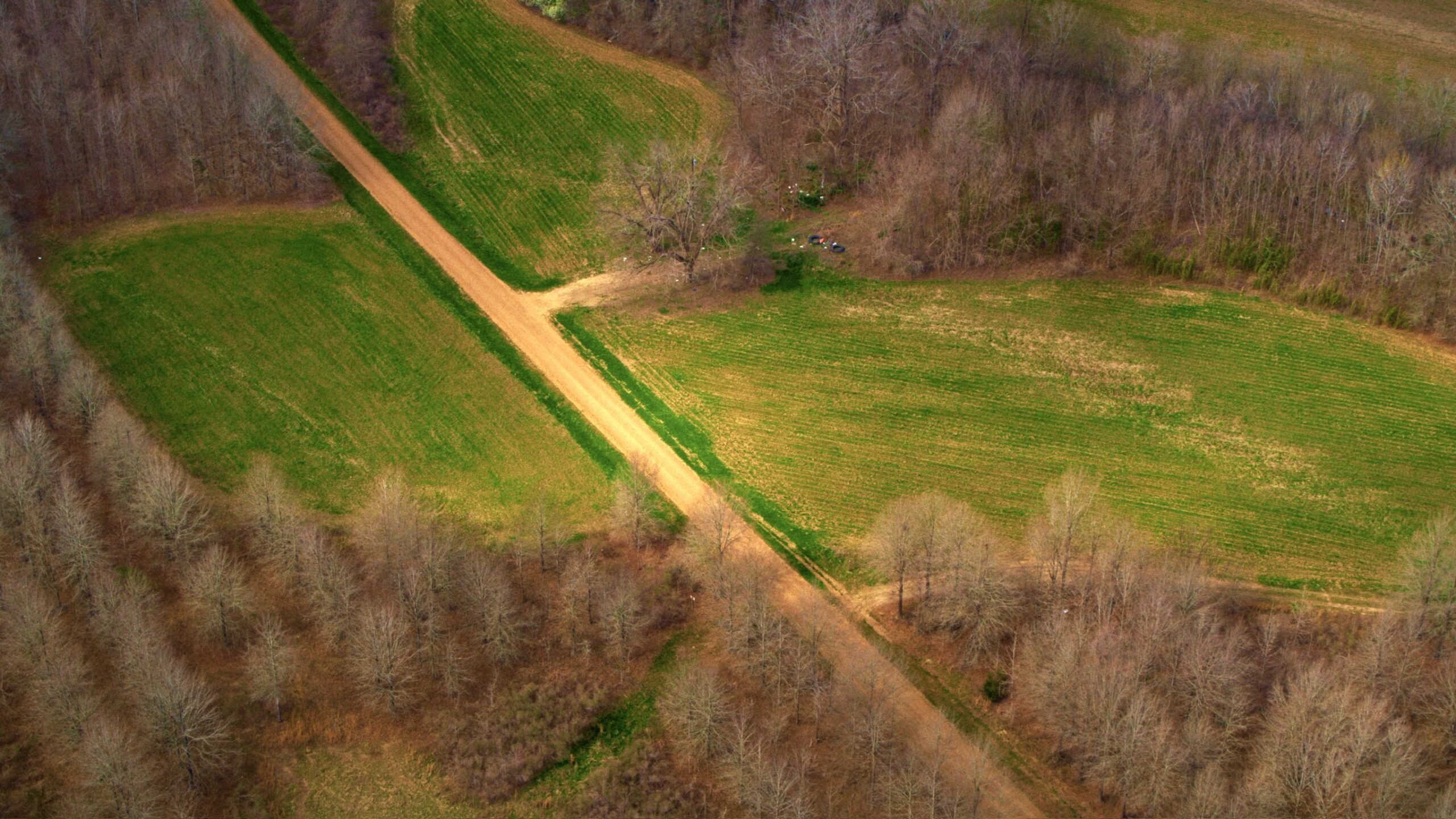 1,196+/- Acre Deer & Duck Hunting Paradise Tensas Parish, LA