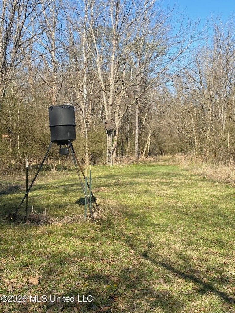 Hunting and Recreational Land for Sale in Amite County, Miss