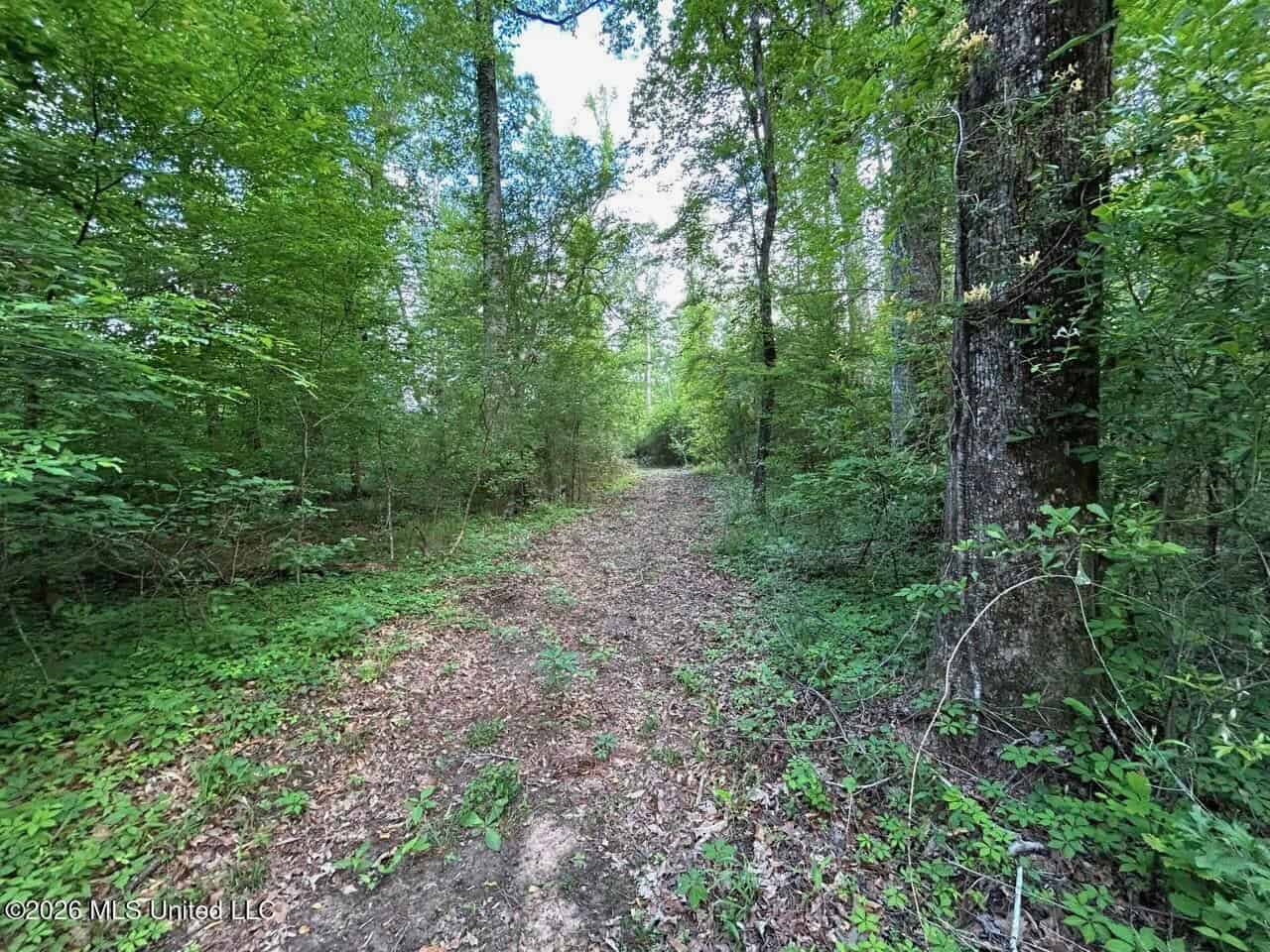 46 Acres in St. Helena Parish, LA Hunting Property for Sale