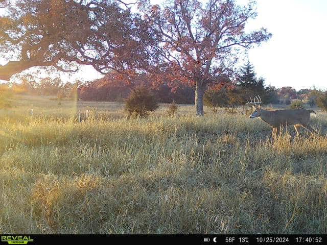 44± Acre Premier Duck and Deer Hunting Property Marquette Cty WI