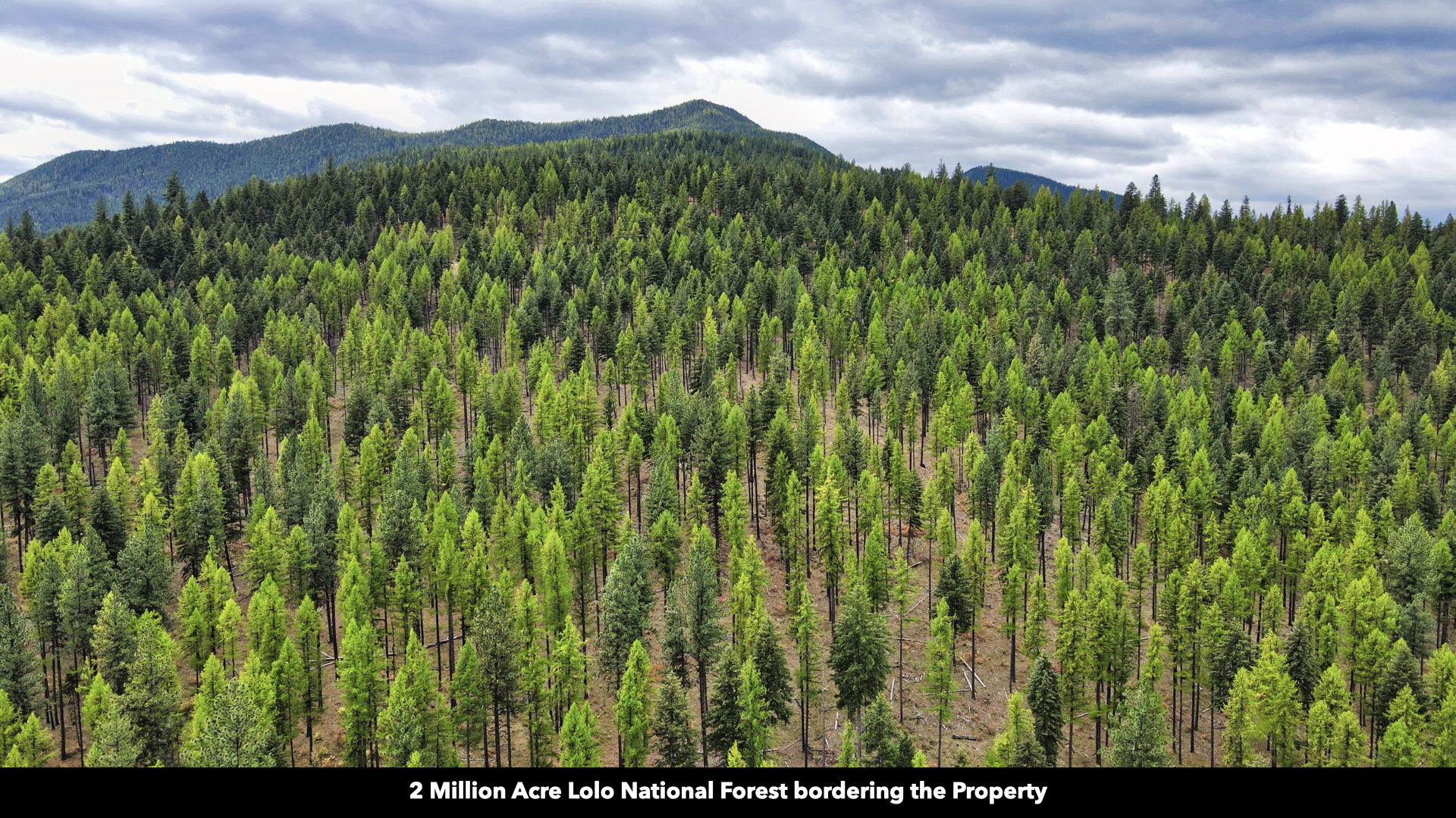 Riverfront Acreage For Sale in St. Regis, Montana