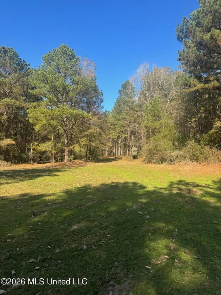 South Mississippi Hunting Land for Sale in Walthall County