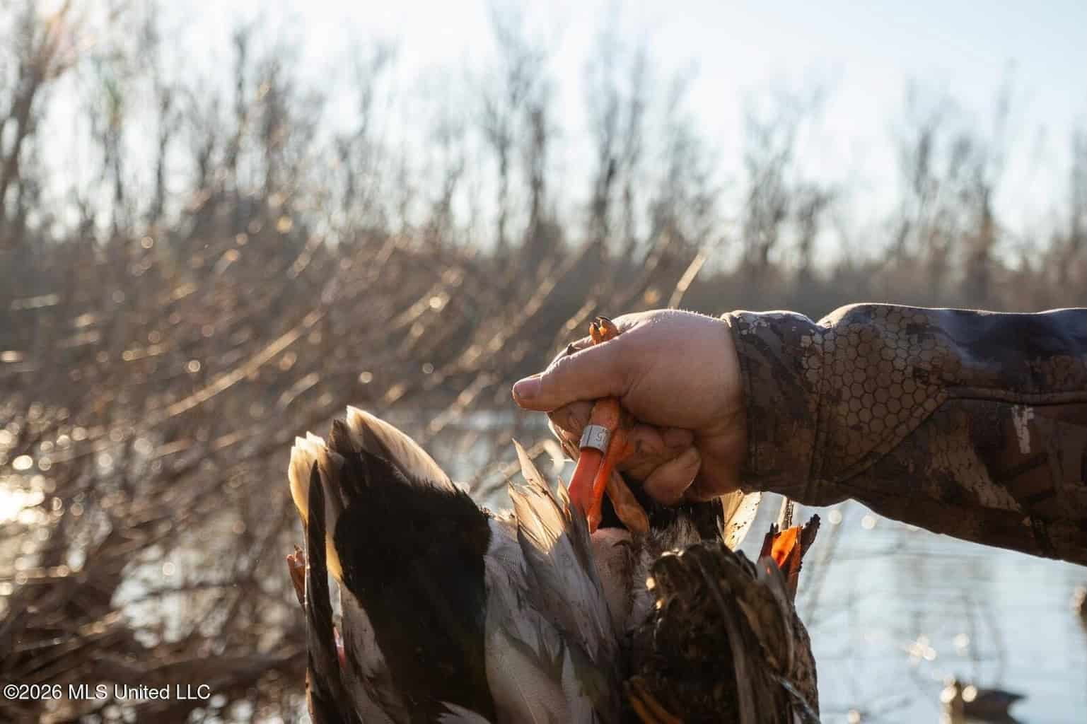 Duckport Legacy Waterfowl and Whitetail Recreational Tract