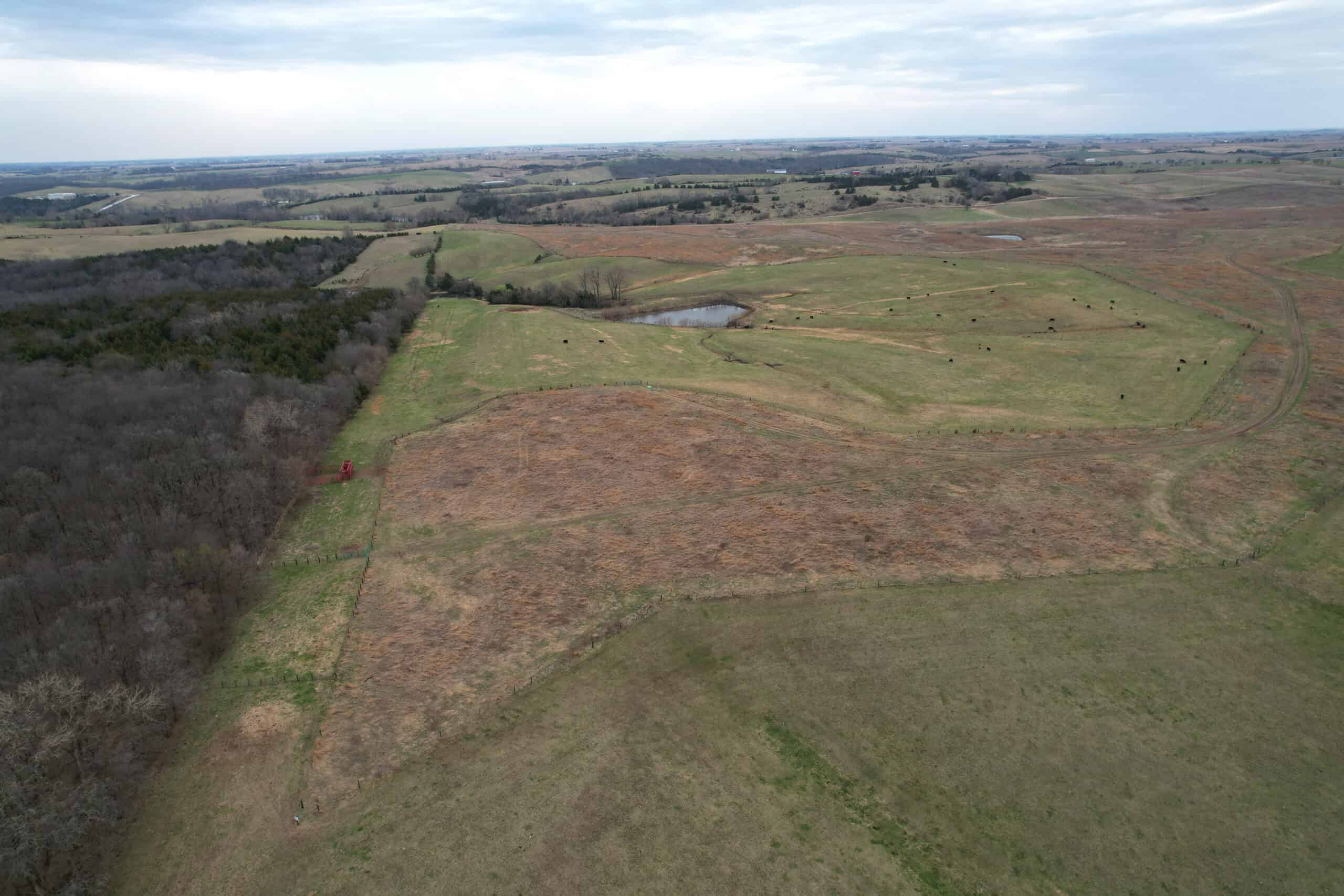 Southwest Iowa Income Producing Combination Farm