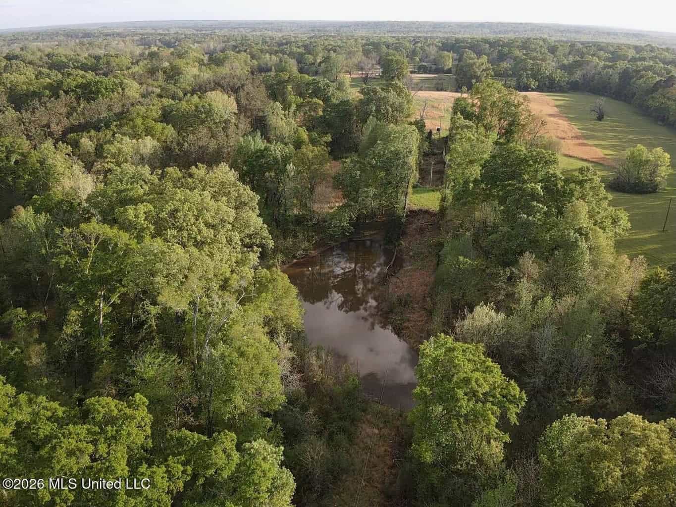77 Acres in Edwards, MS Hinds County Big Black River Region