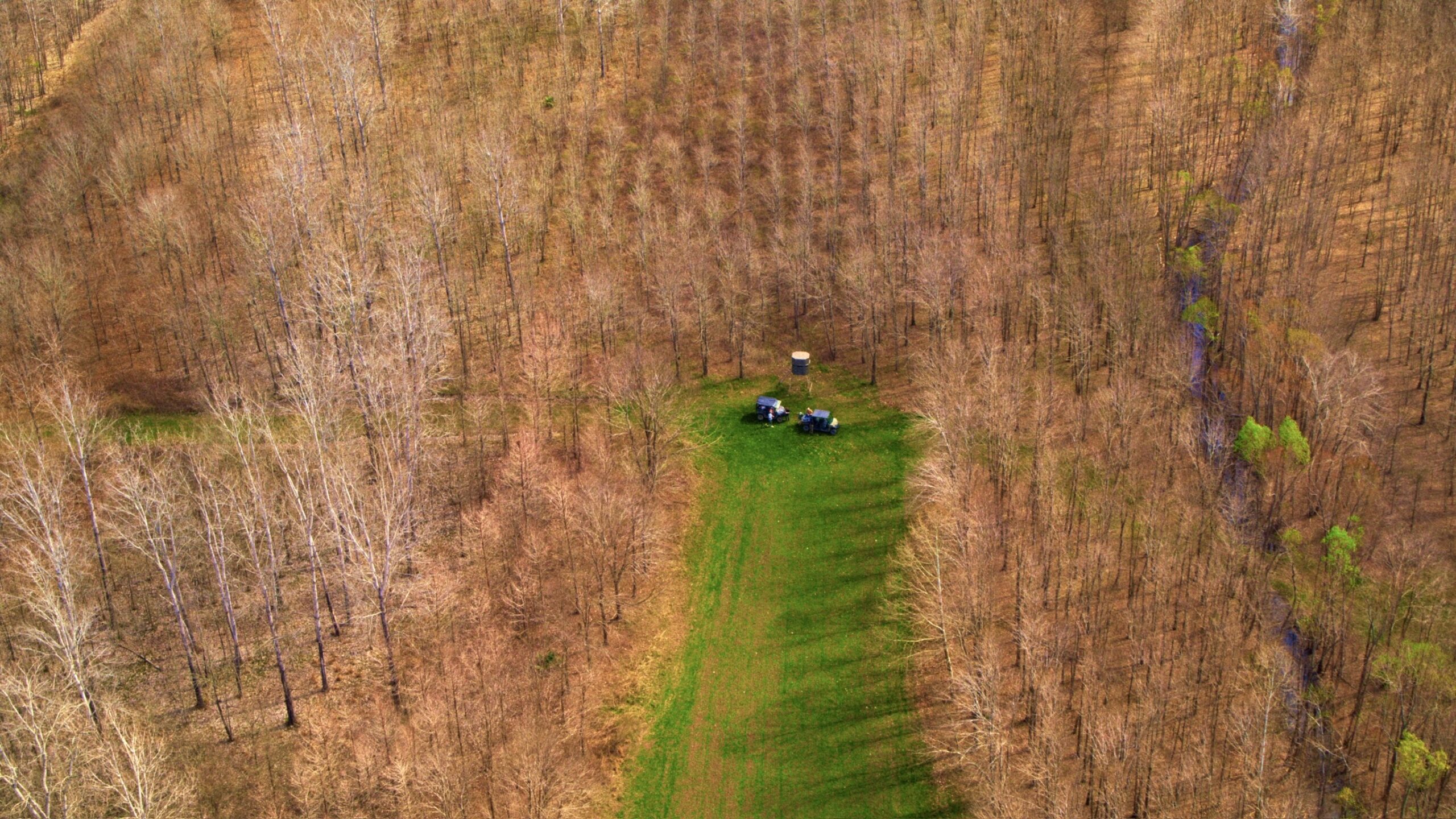 1,196+/- Acre Deer & Duck Hunting Paradise Tensas Parish, LA
