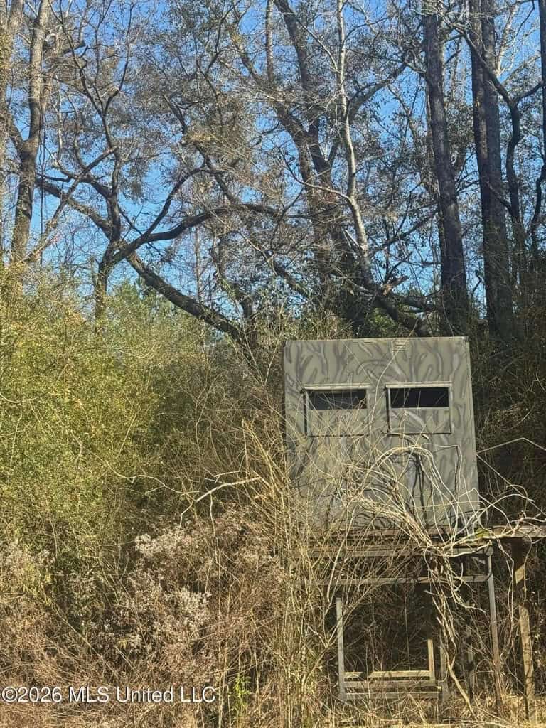 South Mississippi Hunting Land for Sale in Walthall County