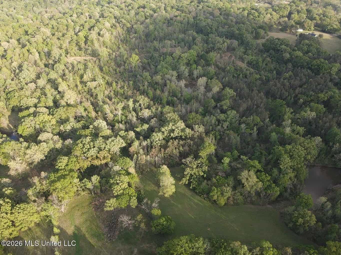 77 Acres in Edwards, MS Hinds County Big Black River Region
