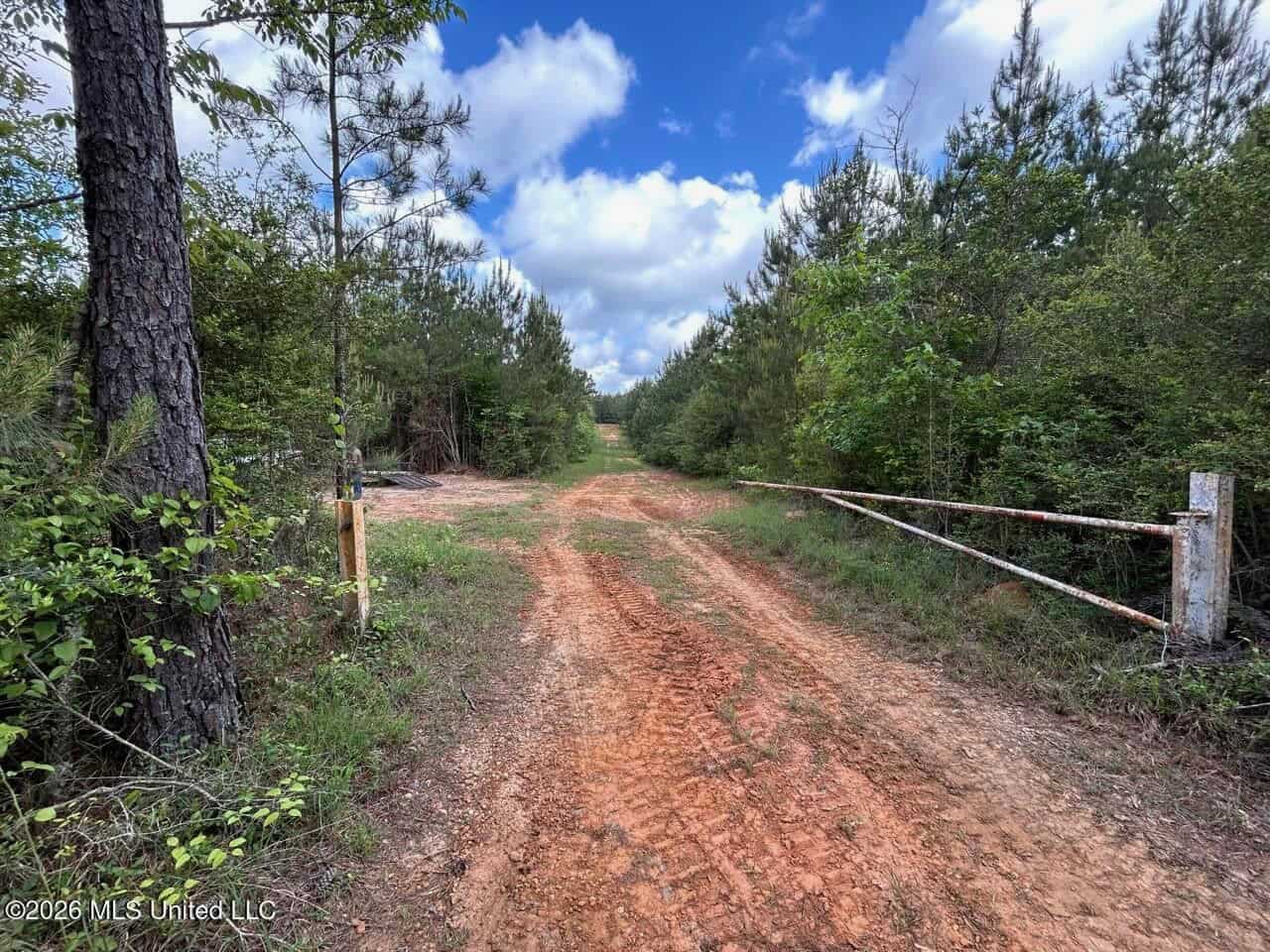 46 Acres in St. Helena Parish, LA Hunting Property for Sale
