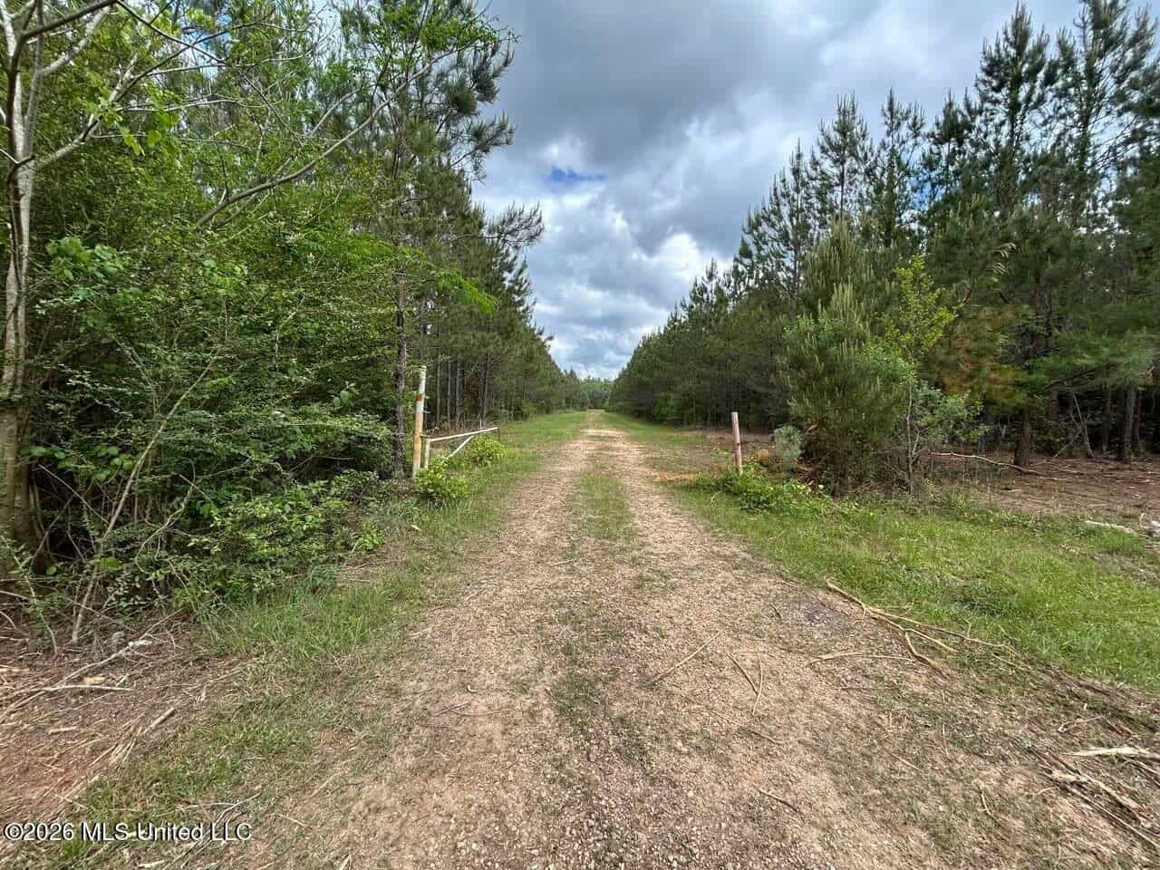 47 Acres in St. Helena Parish, LA with Black Creek