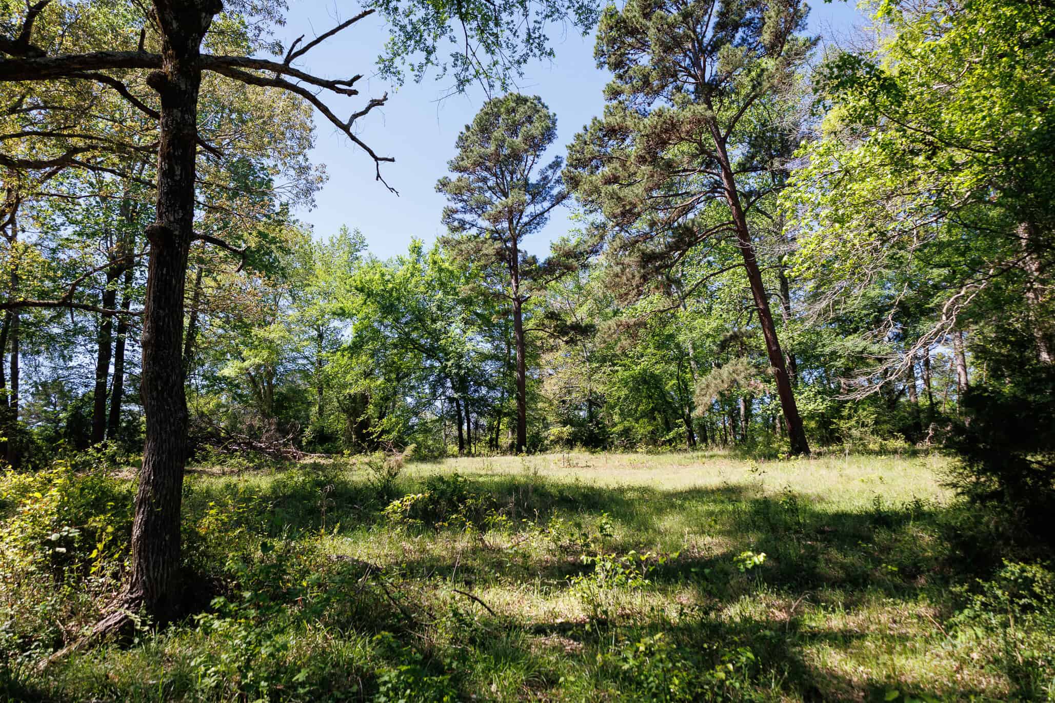 31.74 Acre Recreational Ranch Near Bullard in Smith County TX