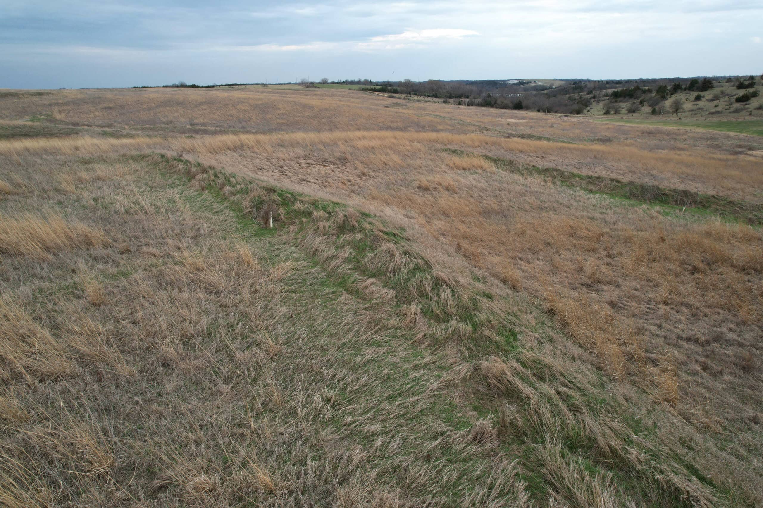 Southwest Iowa Income Producing Combination Farm