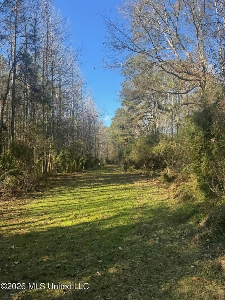 South Mississippi Hunting Land for Sale in Walthall County