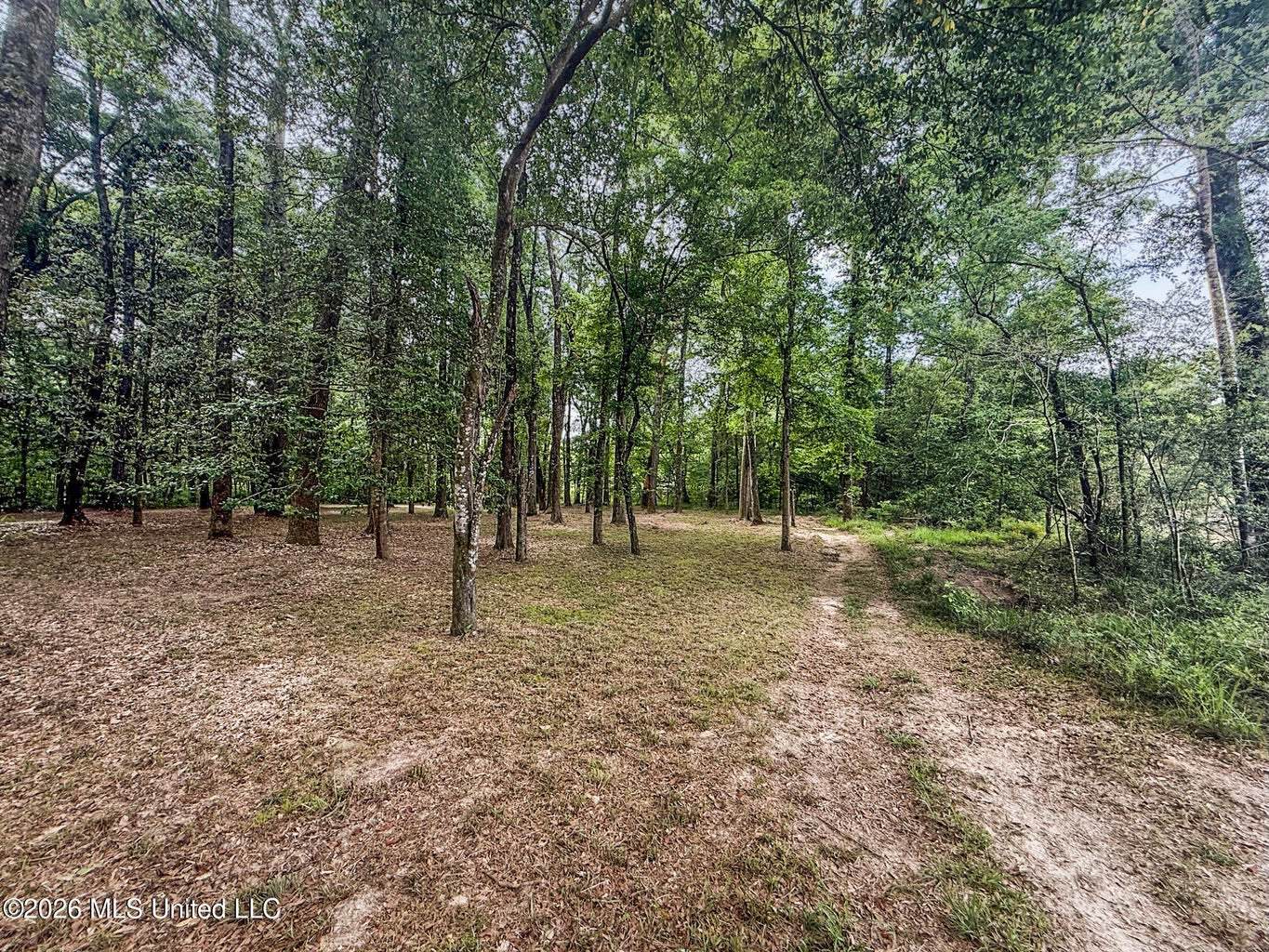 23 Acres of Riverfront Property with Sand Bar and Cabins