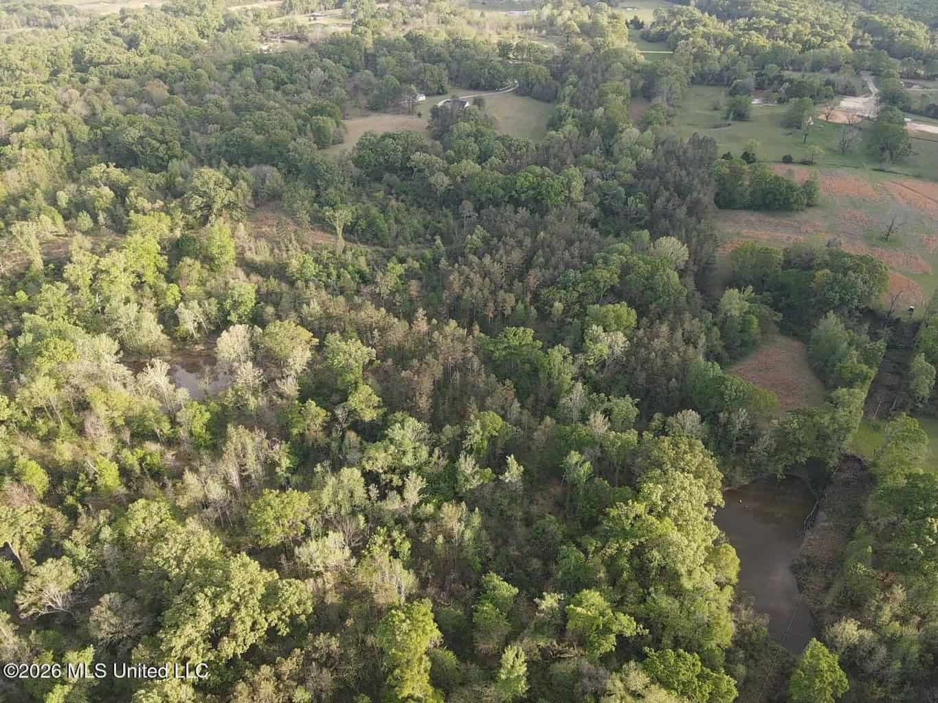 77 Acres in Edwards, MS Hinds County Big Black River Region