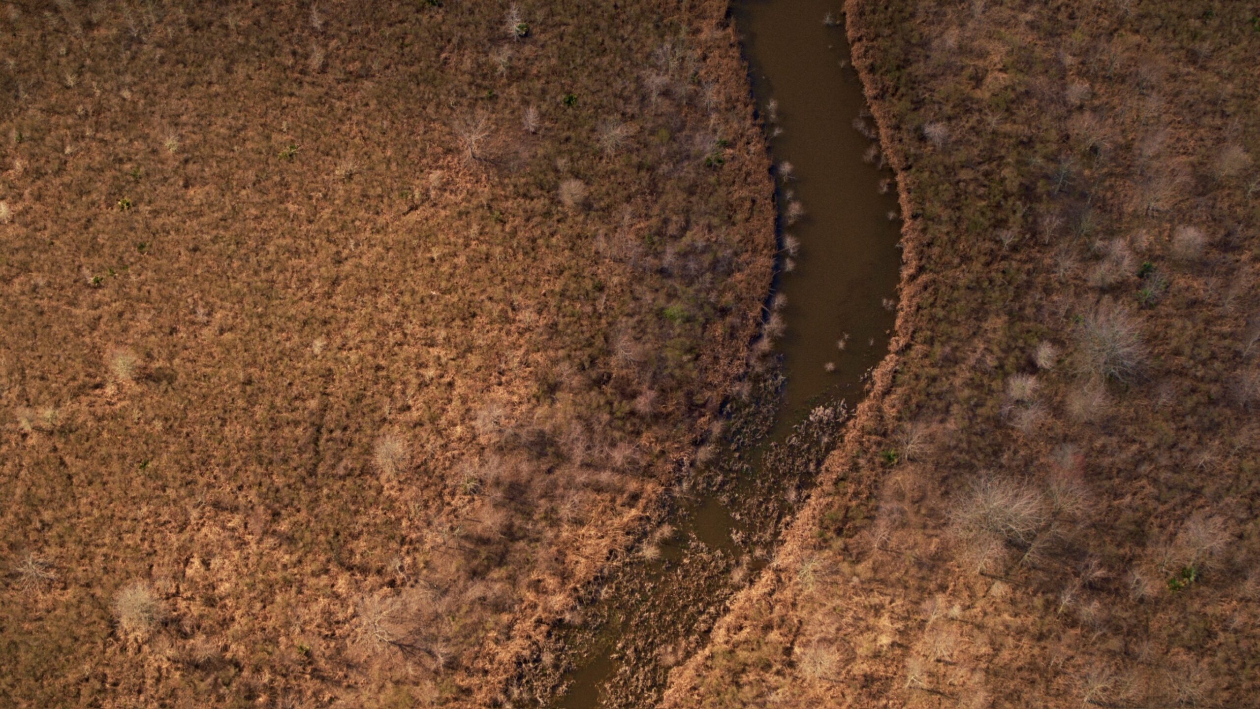1,196+/- Acre Deer & Duck Hunting Paradise Tensas Parish, LA