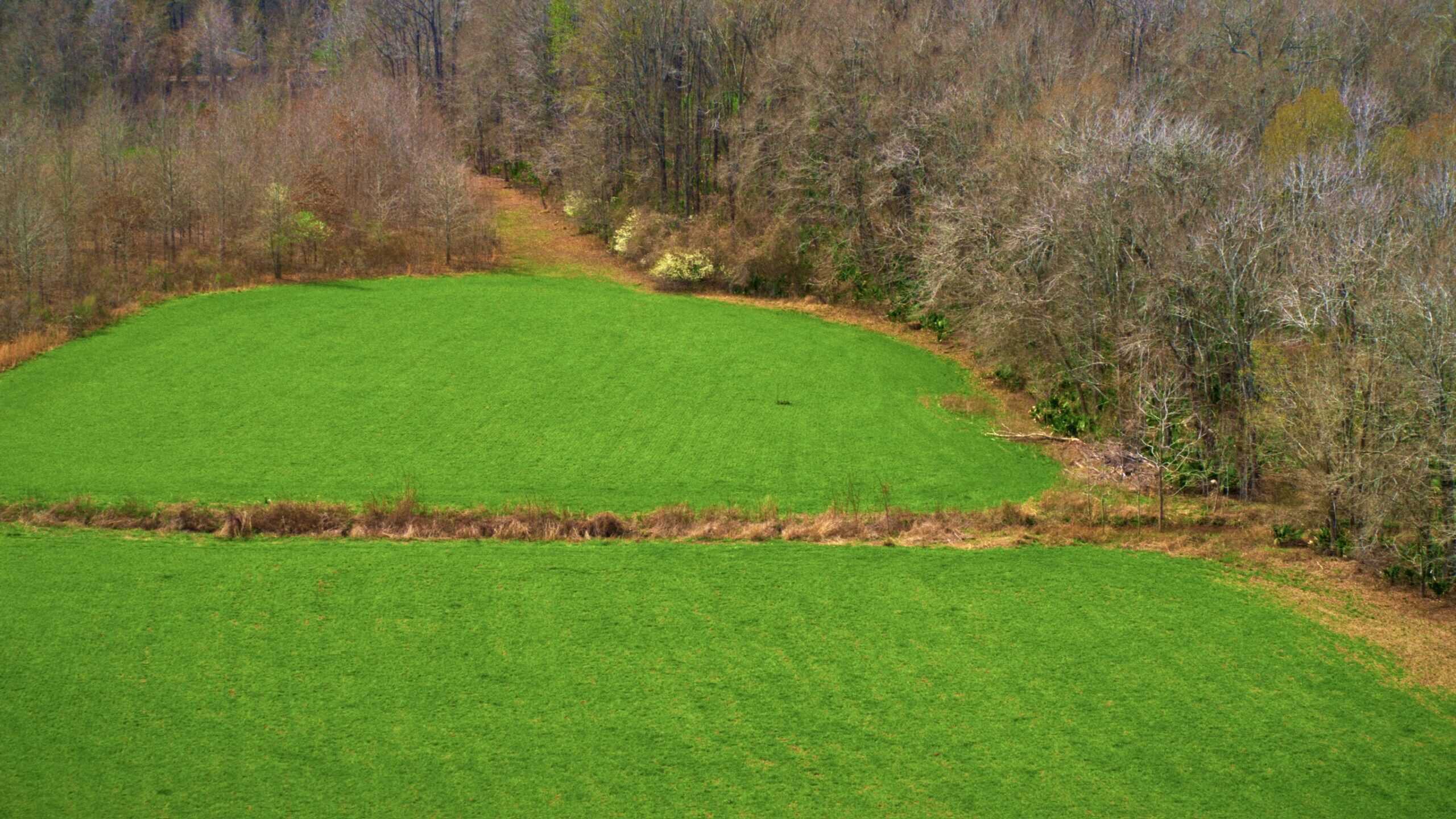 525+/- Acre Hunting Lodge for Sale in Sportsmans Paradise