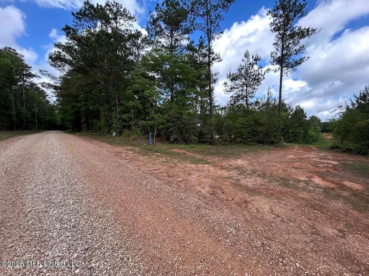46 Acres in St. Helena Parish, LA Hunting Property for Sale