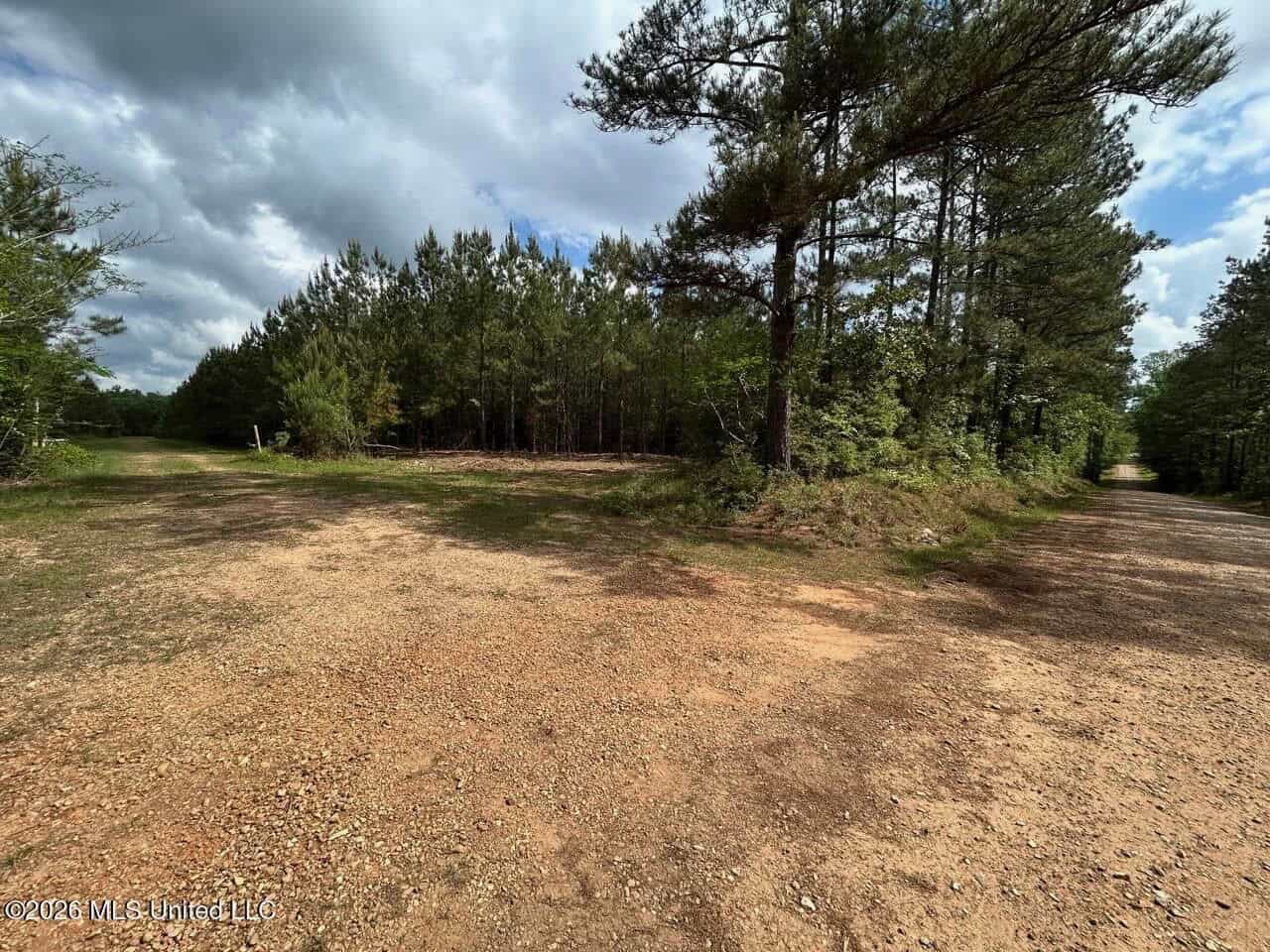 47 Acres in St. Helena Parish, LA with Black Creek