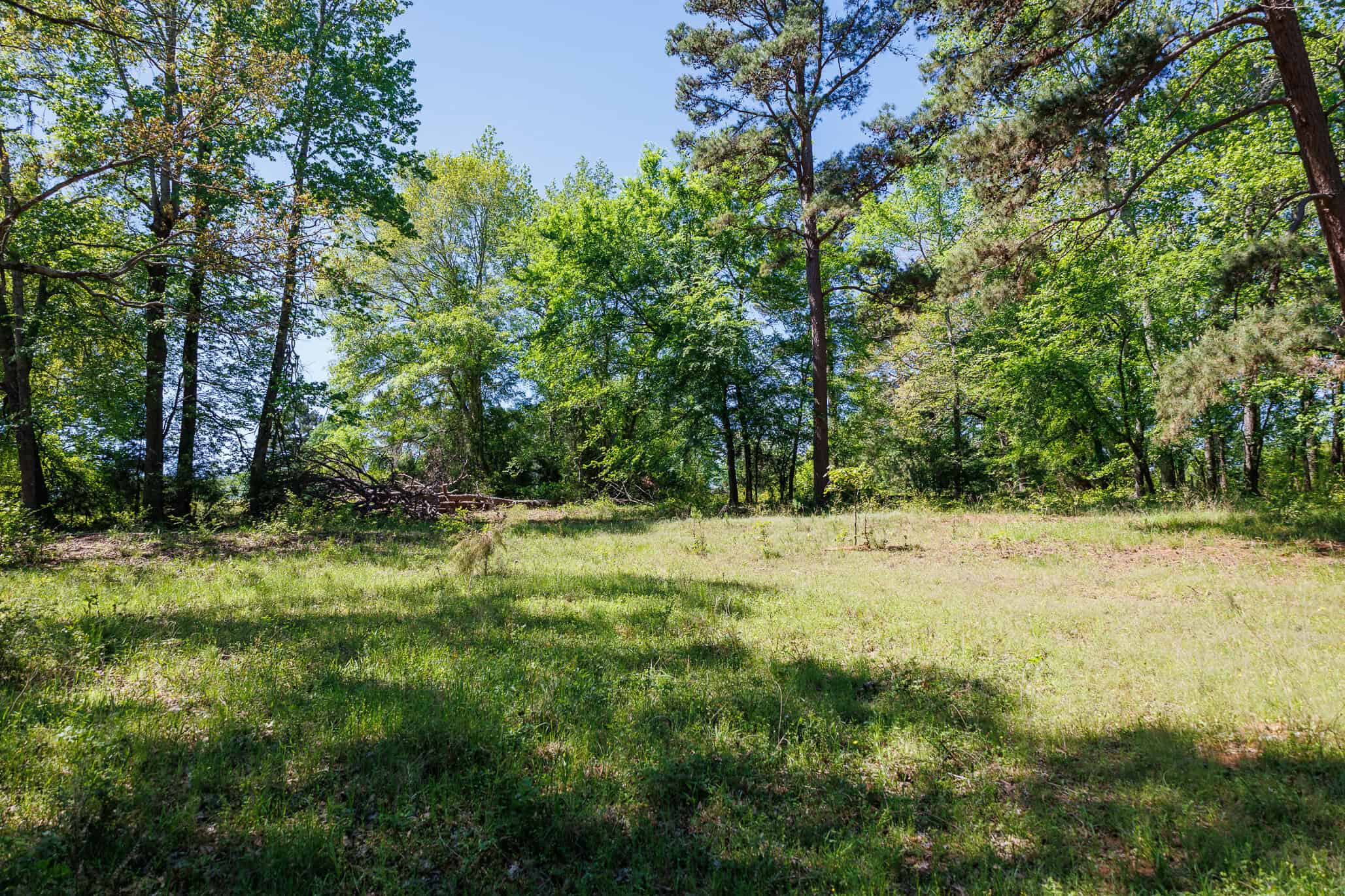 31.74 Acre Recreational Ranch Near Bullard in Smith County TX